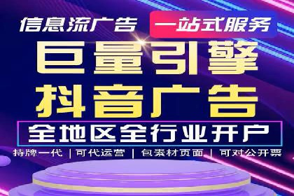 SEM搜索引擎优化策略解析与应用案例